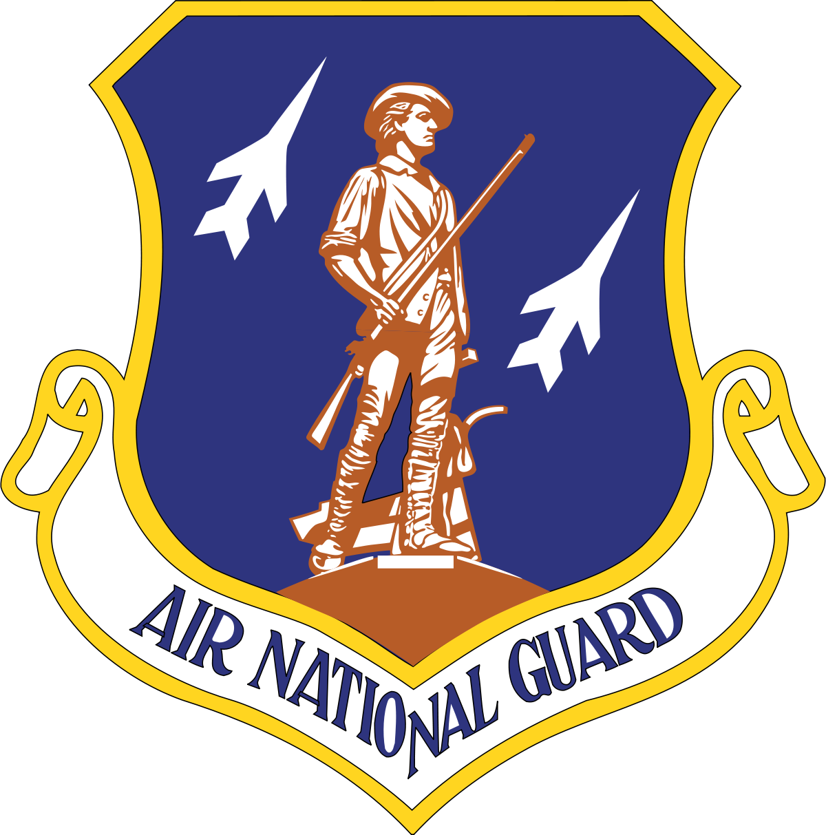 army aer logo